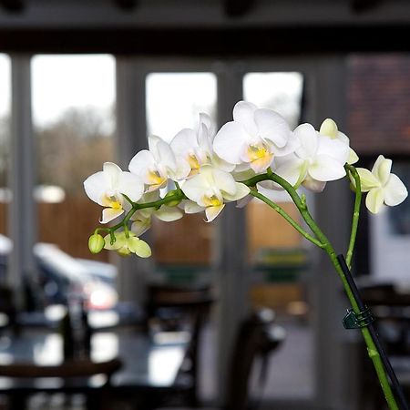 The Maple Manor Hotel Crawley  Eksteriør bilde