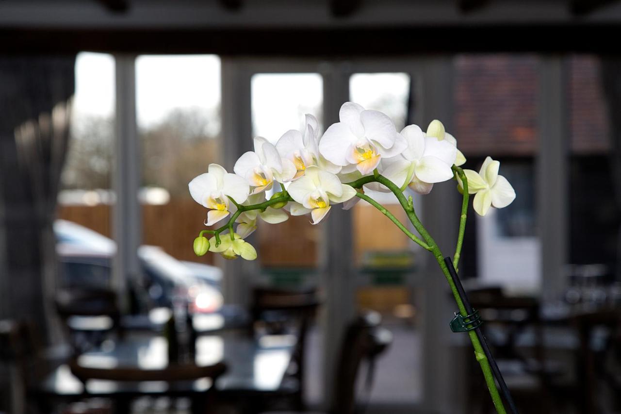 The Maple Manor Hotel Crawley  Eksteriør bilde